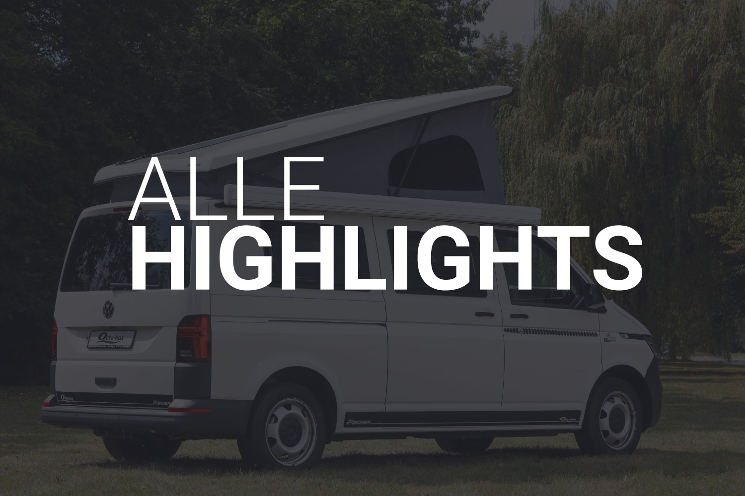 Alle Highlights